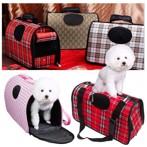 Pet dog cat - pet,