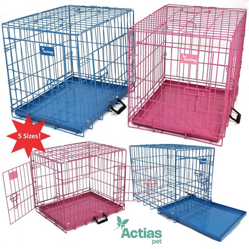 Pink blue dog - dog, cage